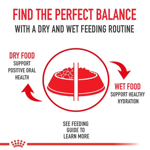 Indoor Adult Dry Cat Food