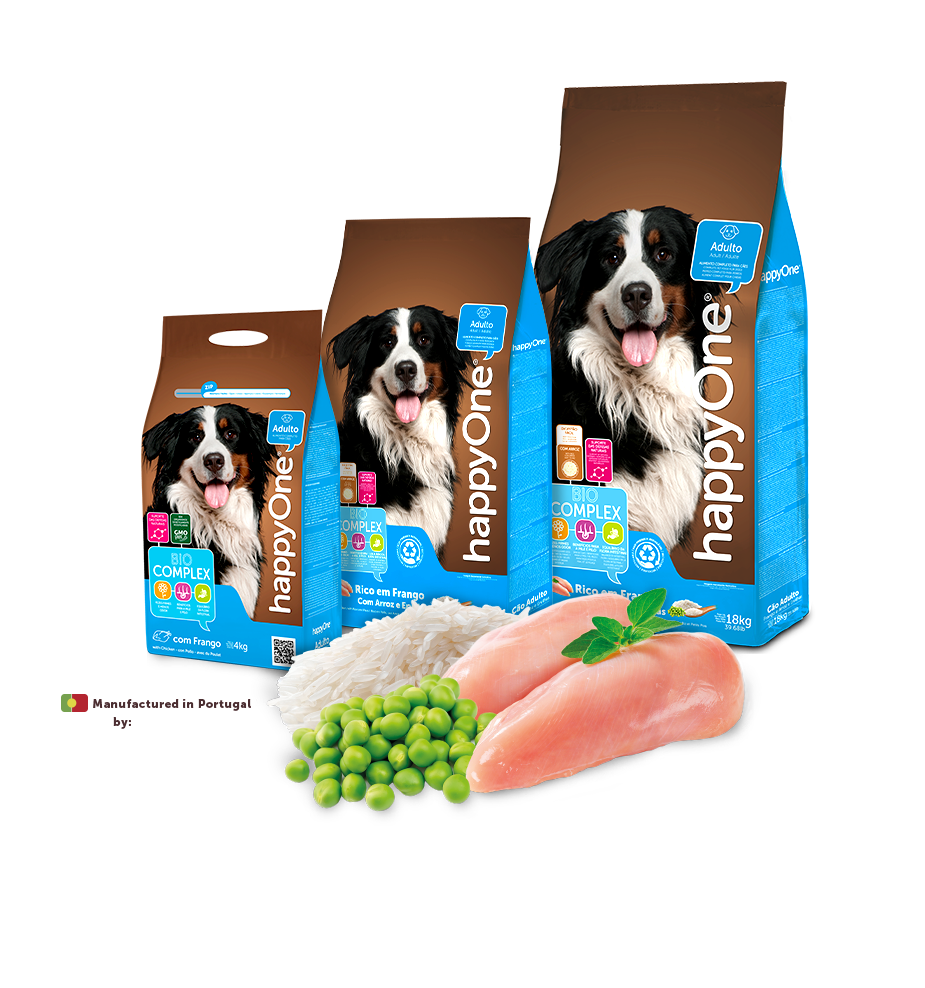Dog Adult