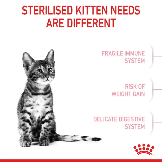 Kitten Sterilized Dry Cat Food
