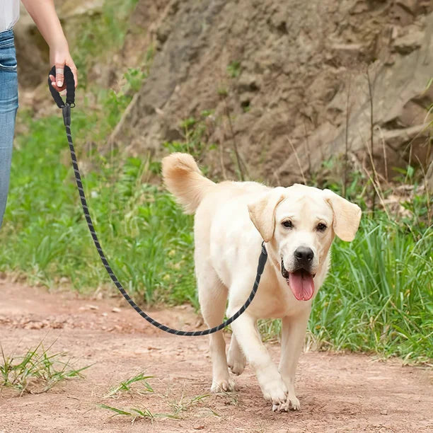 Leash For Large & Medium Dogs