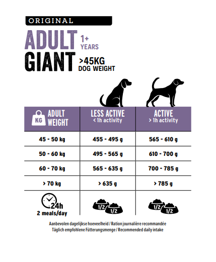 Giant Adult