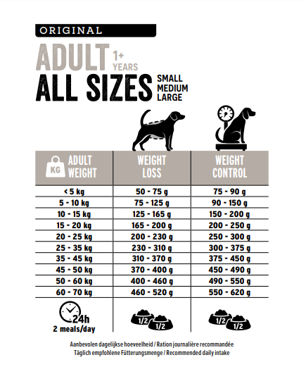 ADULT DOGS OF ALL SIZES (Light)