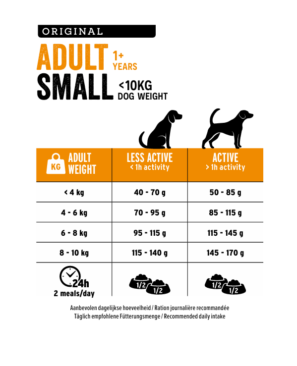 Small Adult