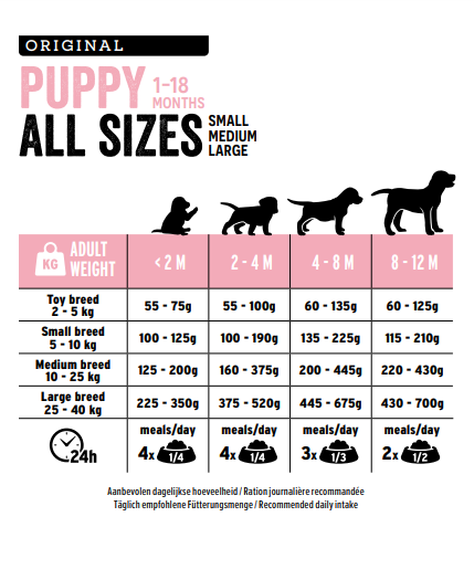 Puppy