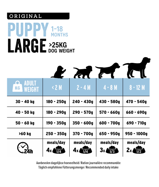 Large Puppy