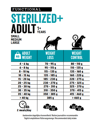 STERILIZED+ Adult