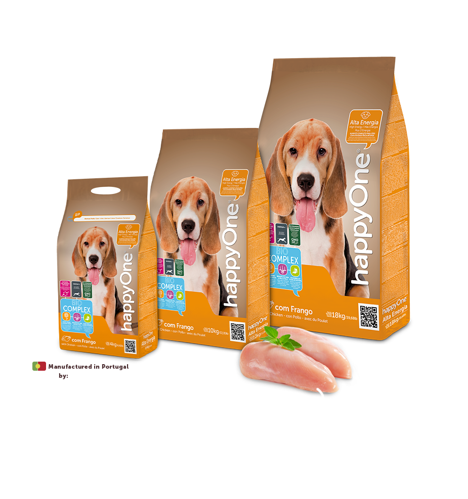 Dog Energy