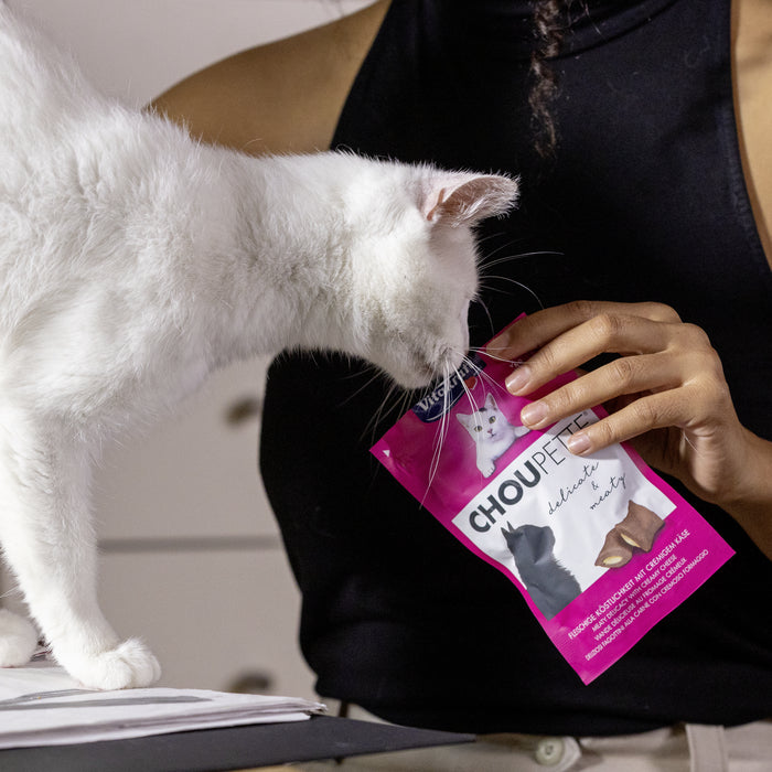 Cat Choupette®