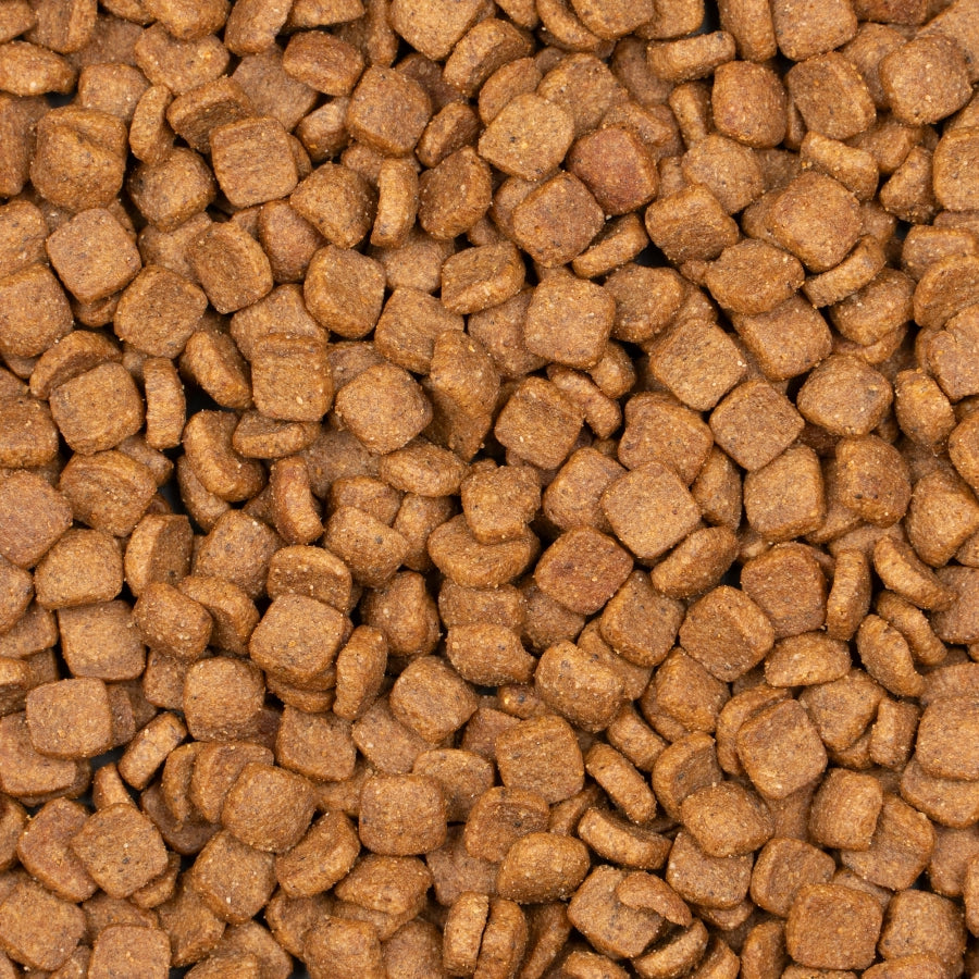 ADULT STERILIZED SALMON