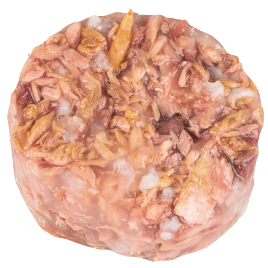 JELLY TUNA WITH SQUID