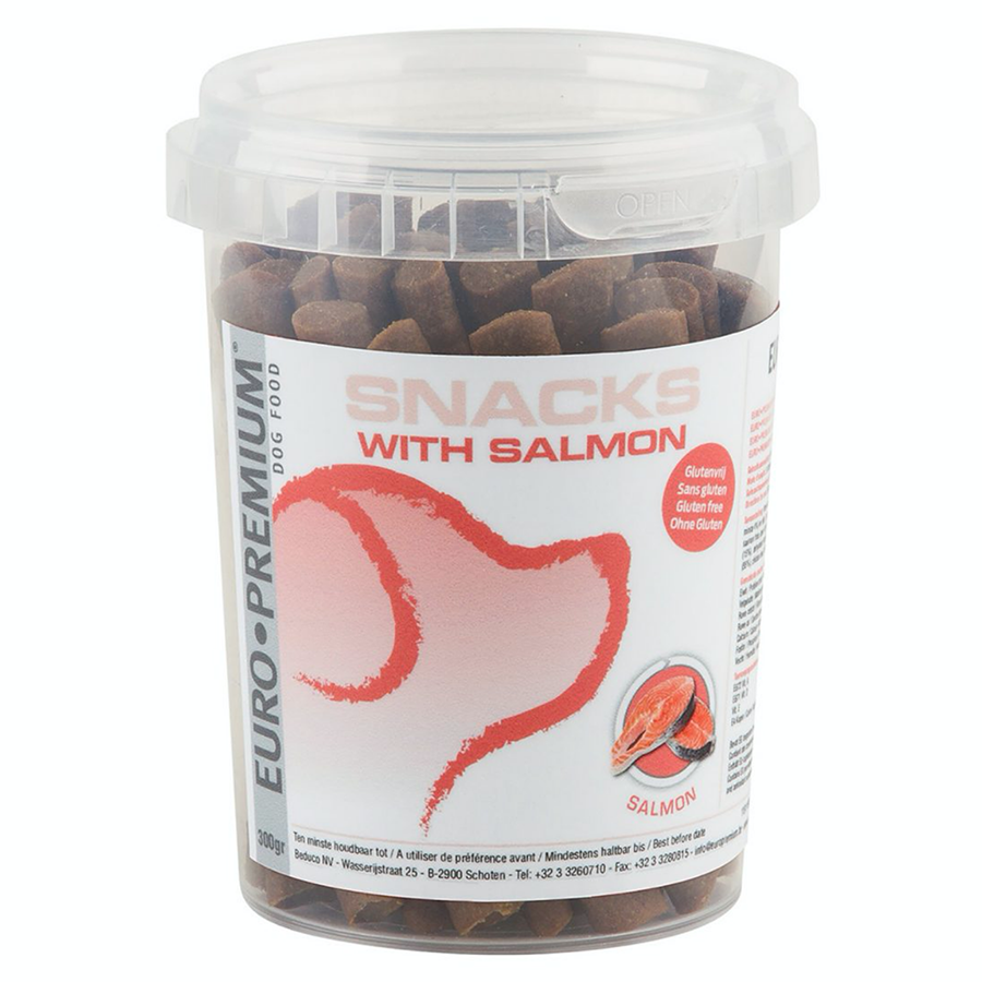 Snack with Salmon