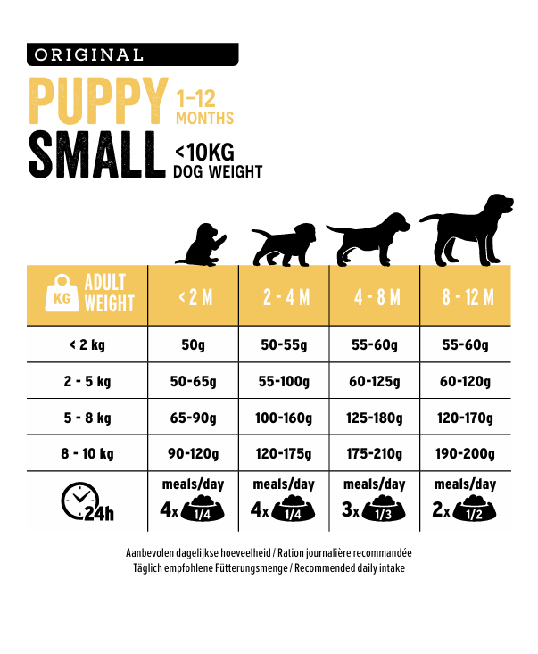 Small Puppy