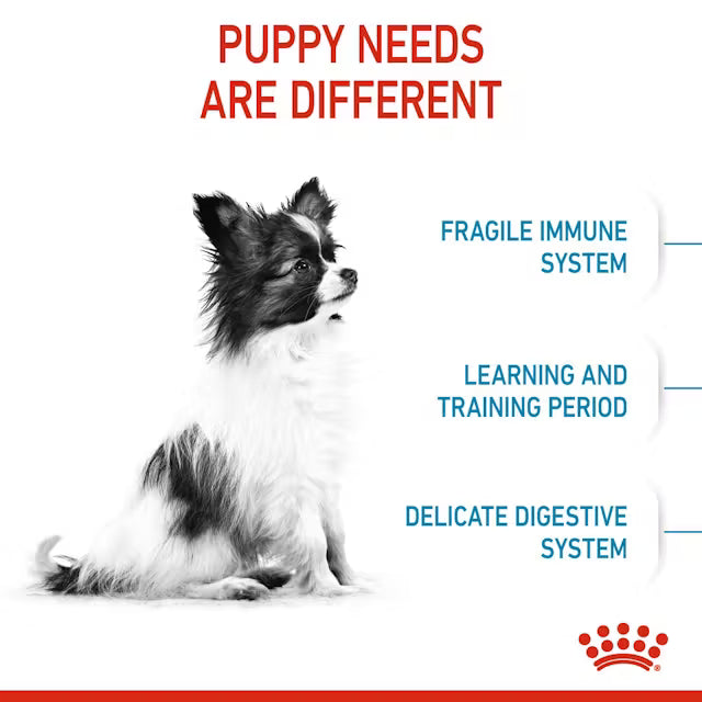 X-Small Puppy 1.5KG