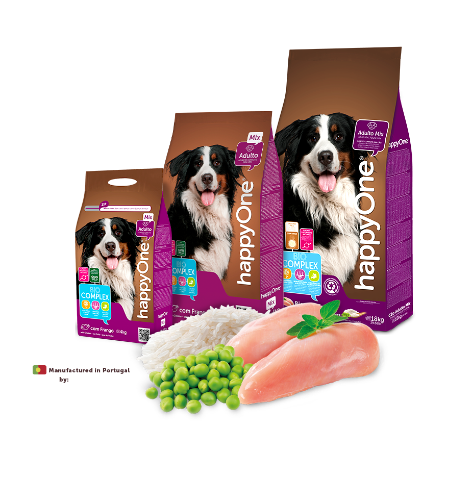 Adult Dog Mix