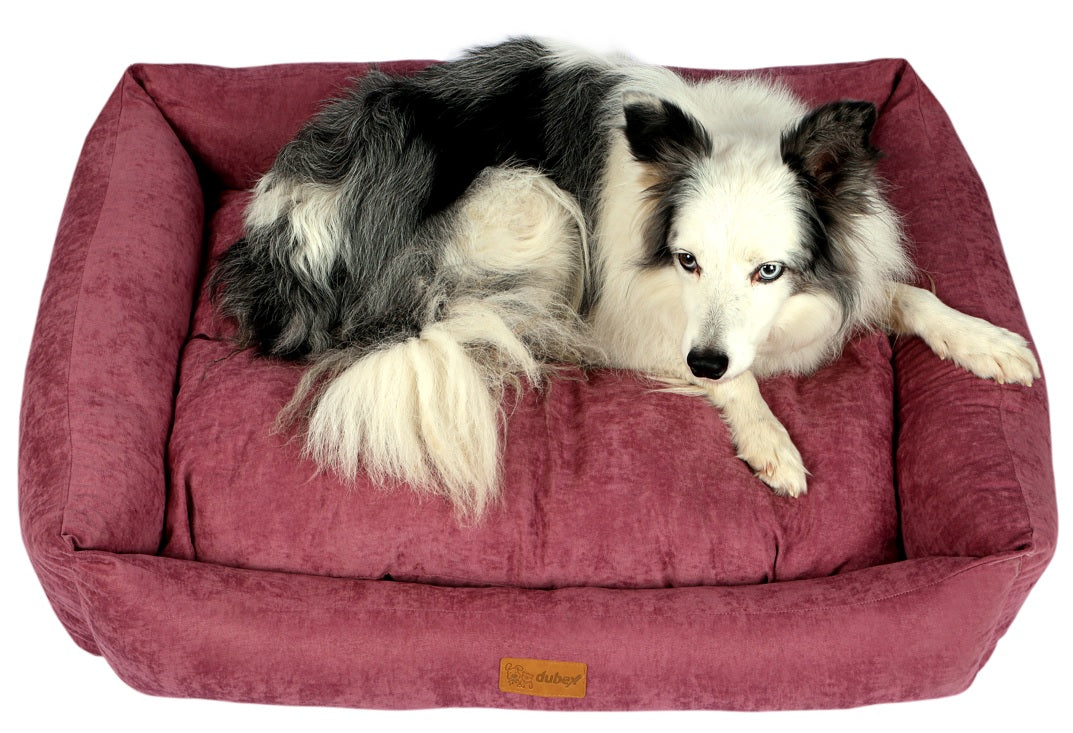 Dubex Cats And Dogs Velvet Cookie Bed L/XL
