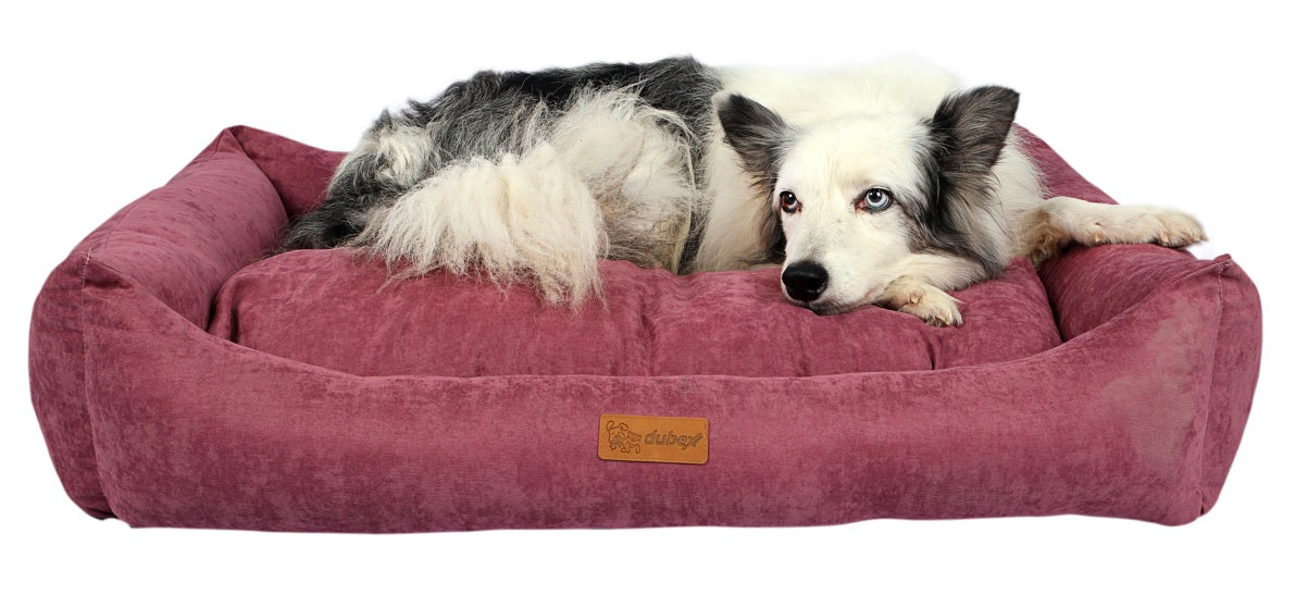 Dubex Cats And Dogs Velvet Cookie Bed L/XL