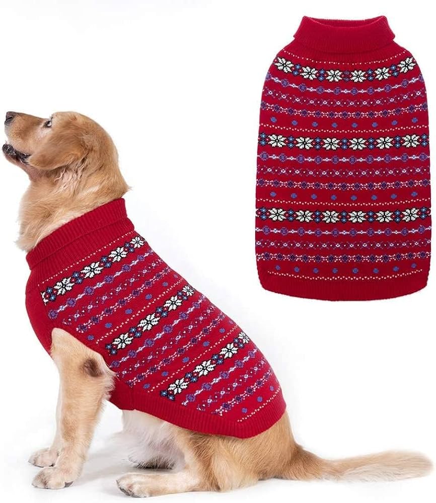 Dog wearing a red patterned sweater on a white background