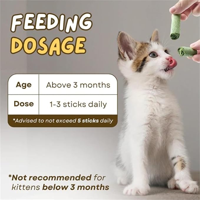 Kittygreen Stick, Cat Grass Teething Stick, Berdexa Cat Grass Teething Stick, Cat Treats Catnip, Natural Cat Grass Sticks for Indoor Cat - Promotes Digestive Health & Increases Appetite