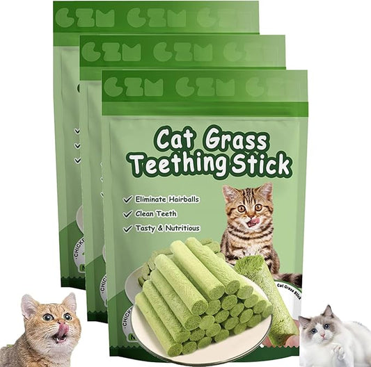 Kittygreen Stick, Cat Grass Teething Stick, Berdexa Cat Grass Teething Stick, Cat Treats Catnip, Natural Cat Grass Sticks for Indoor Cat - Promotes Digestive Health & Increases Appetite