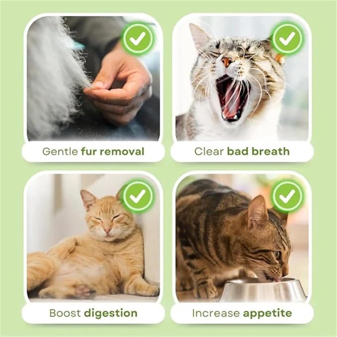 Kittygreen Stick, Cat Grass Teething Stick, Berdexa Cat Grass Teething Stick, Cat Treats Catnip, Natural Cat Grass Sticks for Indoor Cat - Promotes Digestive Health & Increases Appetite