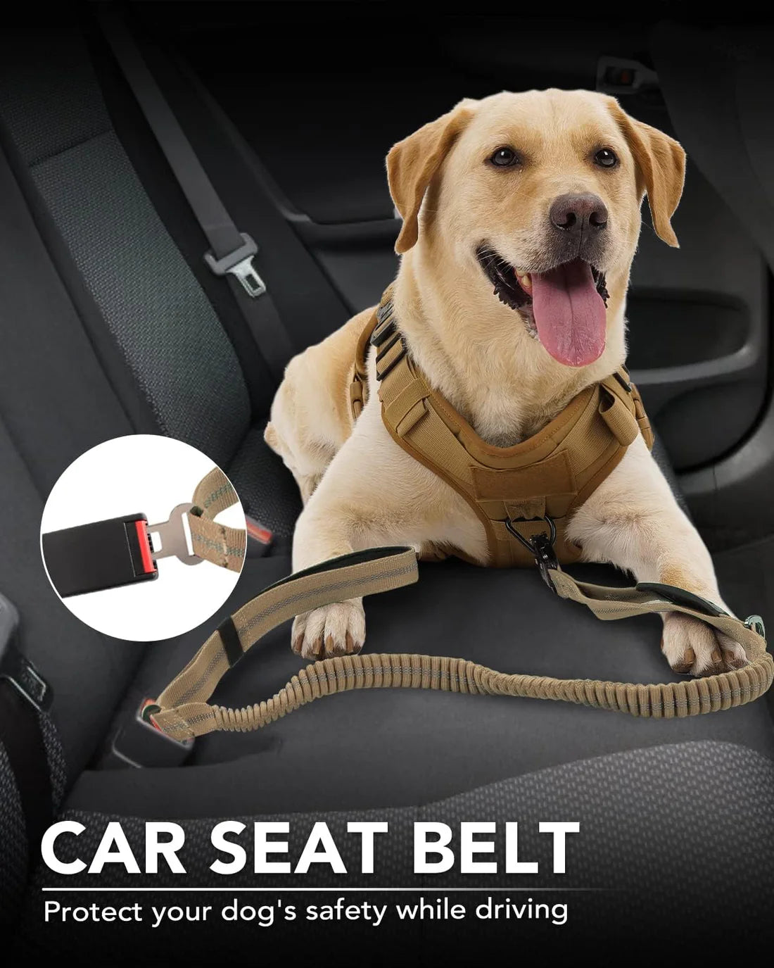 Tactical Dog Leash with 2 Padded Handle