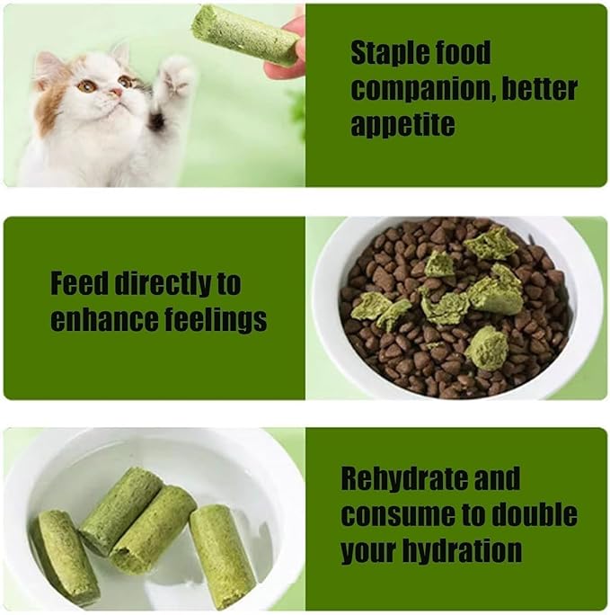 Kittygreen Stick, Cat Grass Teething Stick, Berdexa Cat Grass Teething Stick, Cat Treats Catnip, Natural Cat Grass Sticks for Indoor Cat - Promotes Digestive Health & Increases Appetite