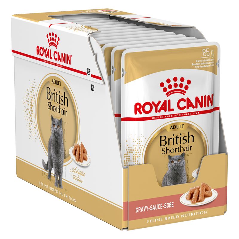 British Shorthair Narrow Chunks In Gravy