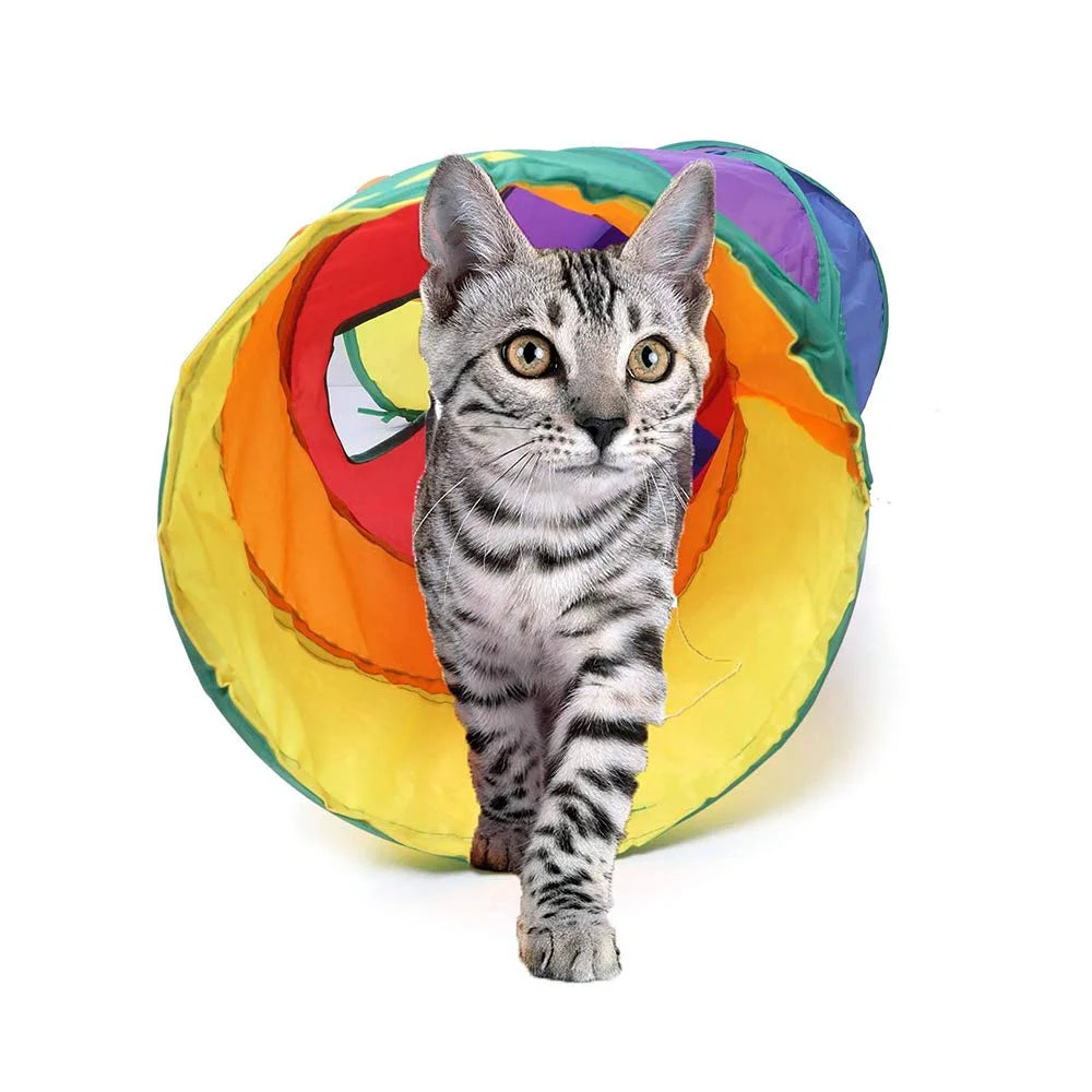 Rainbow Tunnel