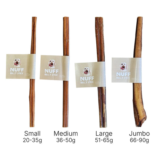 Bully Stick 30cm