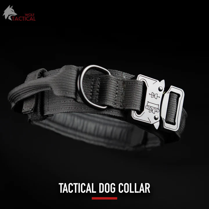 Tactical Dog Collar