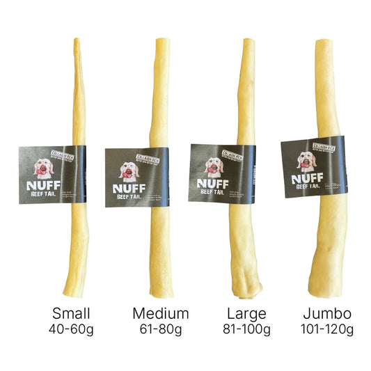 Beef Tail 30cm