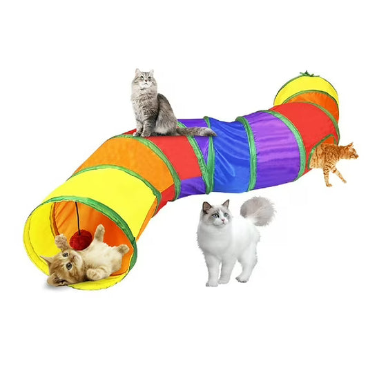 Rainbow Tunnel