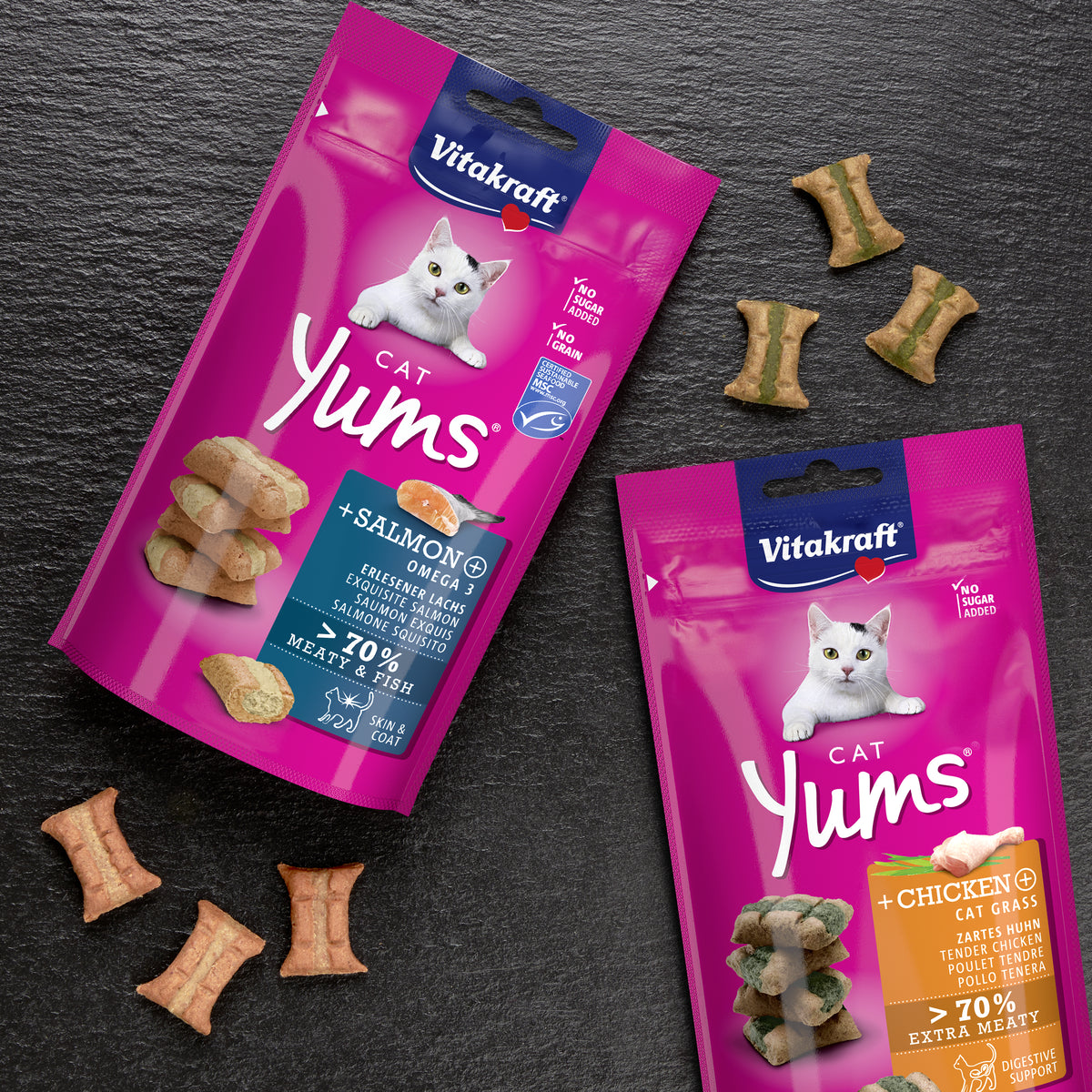 CAT Yums