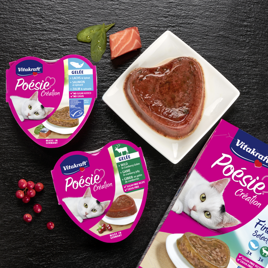 Poésie® Création in jelly