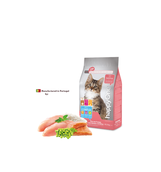 Kitten