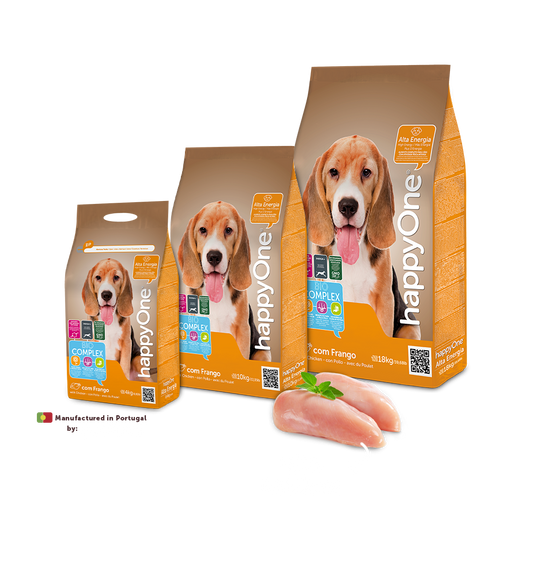 Dog Energy