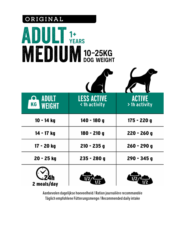 Medium Adult