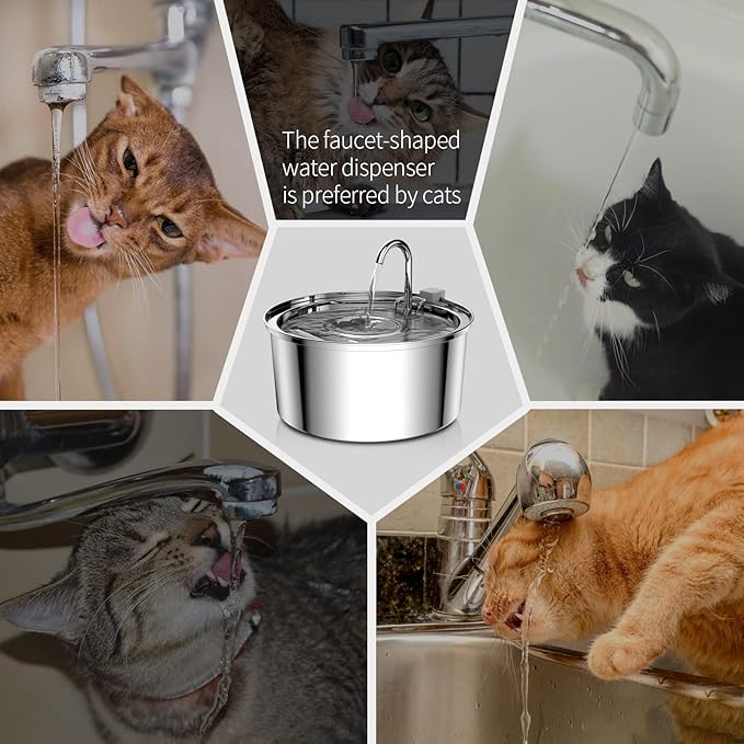 Collage of cats using a faucet-shaped water dispenser with close-up shots and text.