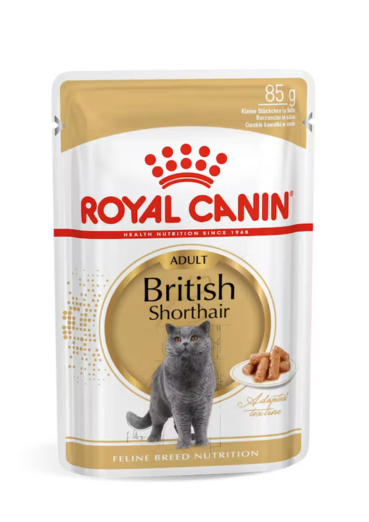British Shorthair Narrow Chunks In Gravy