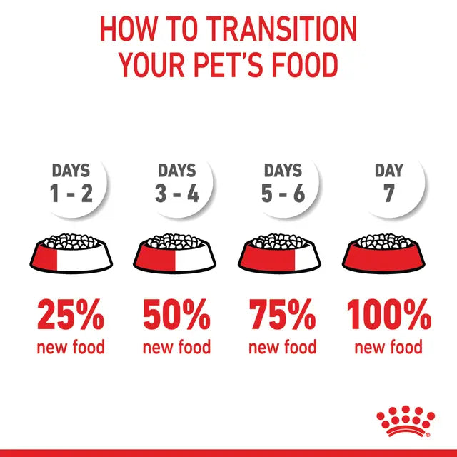 Kitten Sterilized Dry Cat Food