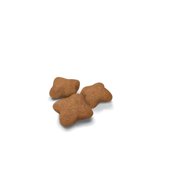 Kitten Sterilized Dry Cat Food