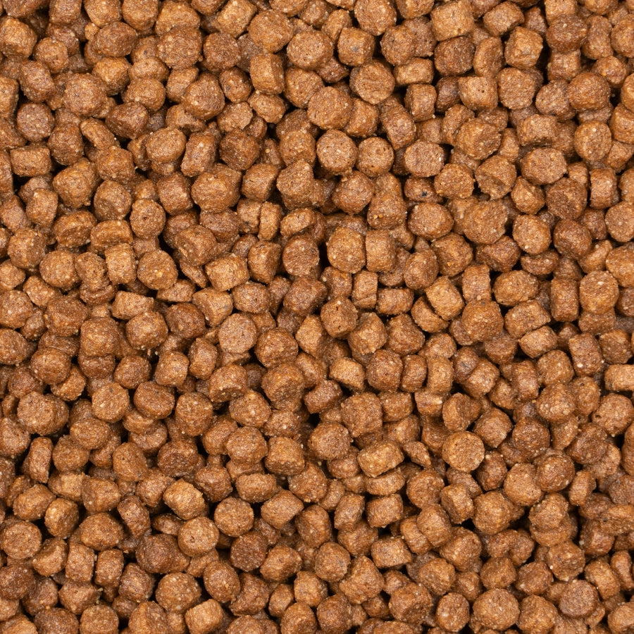 KITTEN COMPLETE CHICKEN