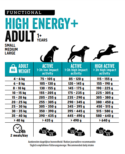 HIGH ENERGY+ Adult