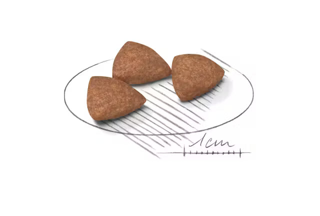 Indoor Adult Dry Cat Food