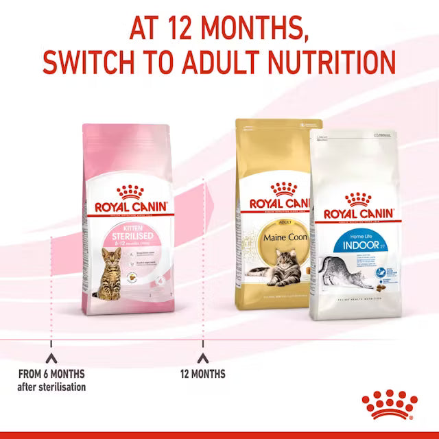 Kitten Sterilized Dry Cat Food